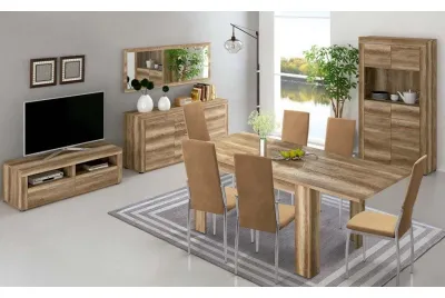 SALON COMPLETO TEXAS AMBIENTE 06