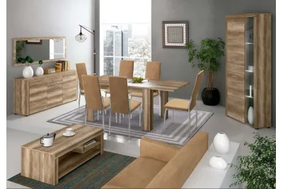 SALON COMPLETO TEXAS AMBIENTE 07