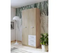 ARMARIO 2P-3C DONALD PUCCINI-ANDERSEN