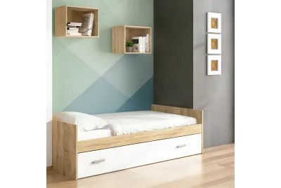 CHAMPION AMBIENTE 02
