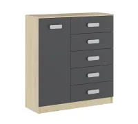 DONALD PUCCINI-GRAFITO