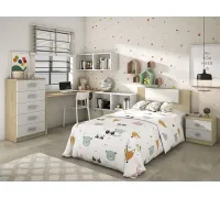 Dormitorio juvenil completo Donald + Amb.07
