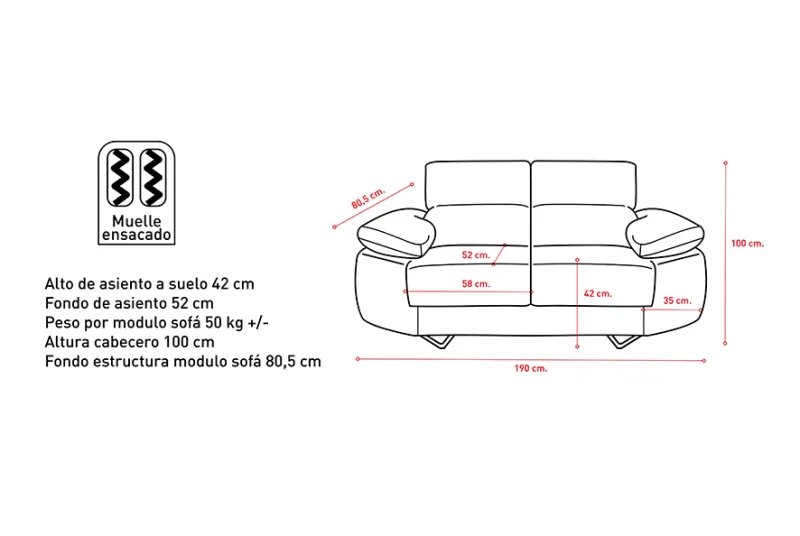 Sofá de 2 Plazas Tapizado Cairo en Color Grafito | Diseño Moderno y Cómodo