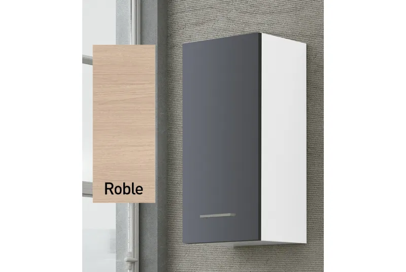 Módulo para colgar de baño de 1 puerta 70 cm en roble Tauros