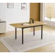MESA RECTANGULAR EXT.TAPA MDF CAMDEN NEGRO