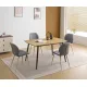 CONJUNTO MESA FIJA HUDSON + 4 SILLAS SELMA GRIS