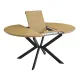 CONJUNTO MESA EXT. WINSOR + 6 SILLONES DEVON BEIG