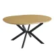 CONJUNTO MESA EXT. WINSOR + 2 SILLONES DEVON BEIG