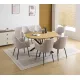 CONJUNTO MESA EXT. WINSOR + 6 SILLONES DEVON BEIG