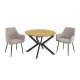CONJUNTO MESA EXT. WINSOR + 2 SILLONES DEVON BEIG