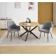 CONJUNTO MESA EXT. WINSOR + 2 SILLONES DEVON GRIS